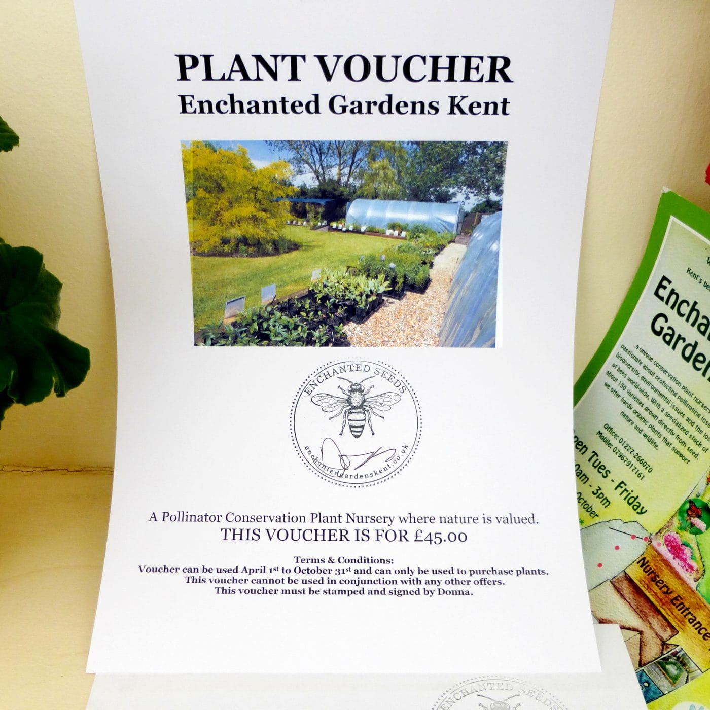 Plant Gift Voucher Enchanted Gardens Kent, Gift Vouchers For Gardeners Uk
