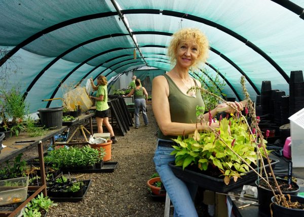 Donna @ Enchanted Gardens Whitstable