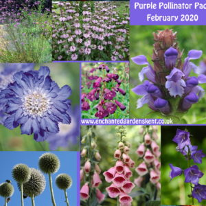 Seasonal Pollinator Plant and Bulb Packs