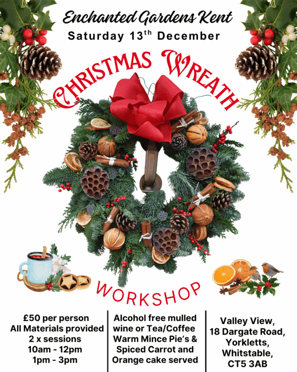 Christmas Wreath Workshop 2025- SATURDAY 13TH DECEMBER MORNING. MAX 8