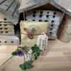 Enchanted Seed Gift Pack 5 bags for £6.00 Easy Throw 'n Grow Mix