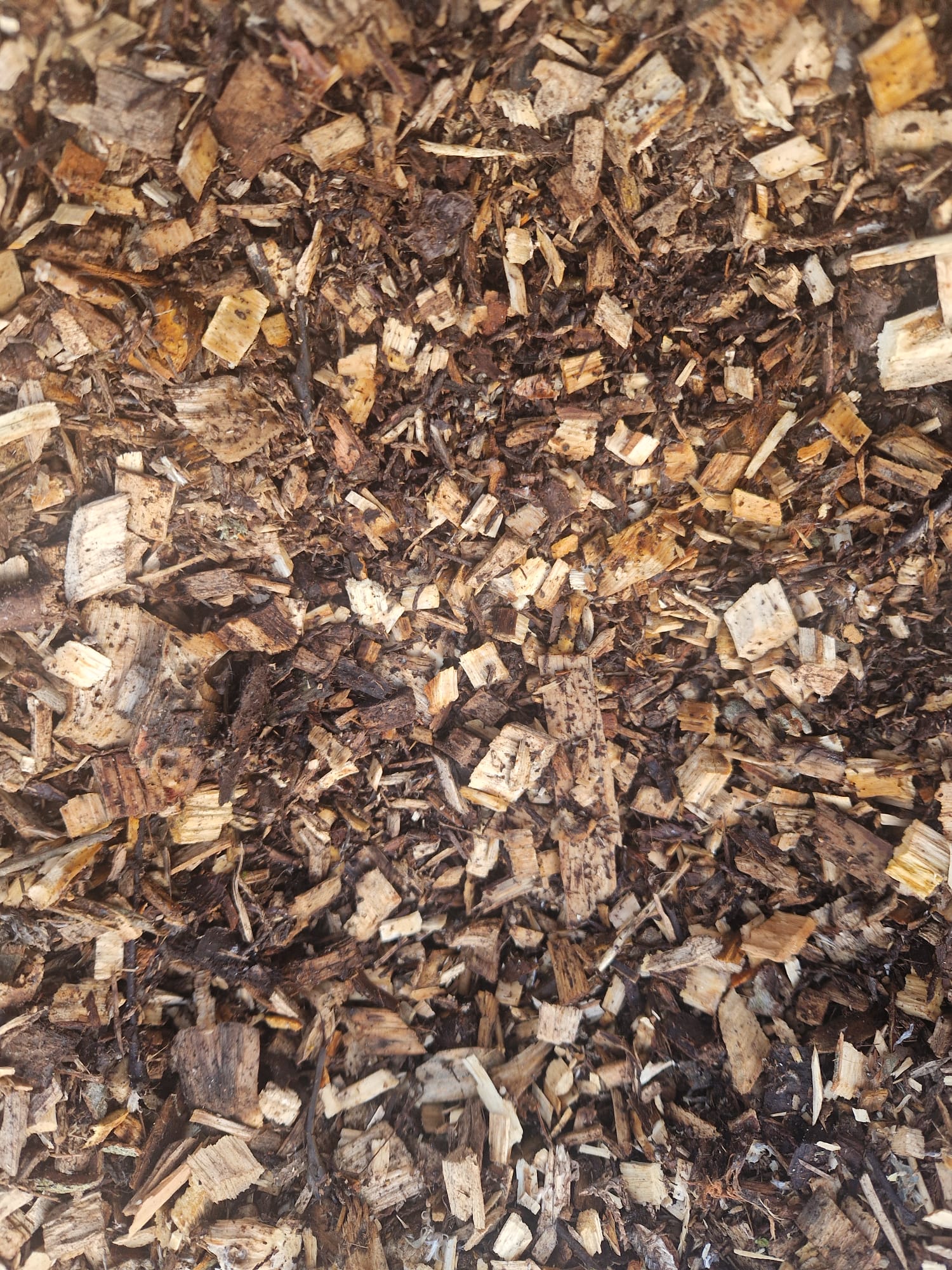 WOODSMAN AND THE WITCH MIXED WOOD MULCH - Image 3