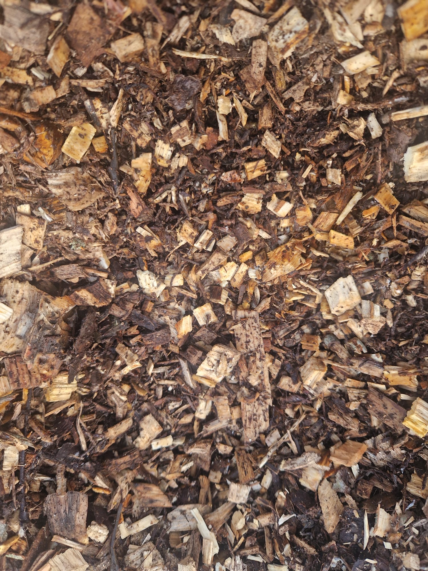 WOODSMAN AND THE WITCH MIXED WOOD MULCH - Image 2