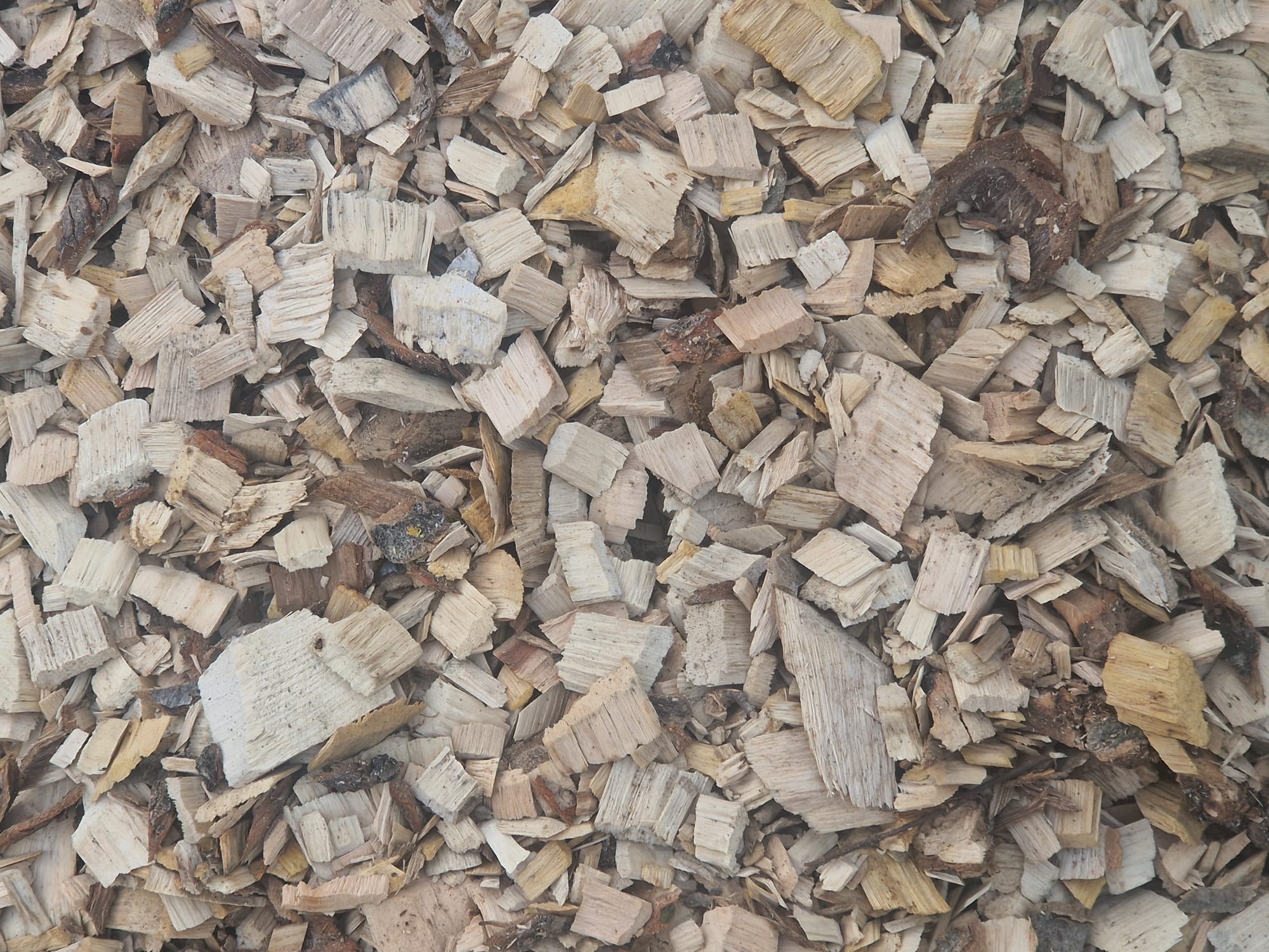 WOODSMAN AND THE WITCH HARDWOOD WOOD CHIP - Image 9