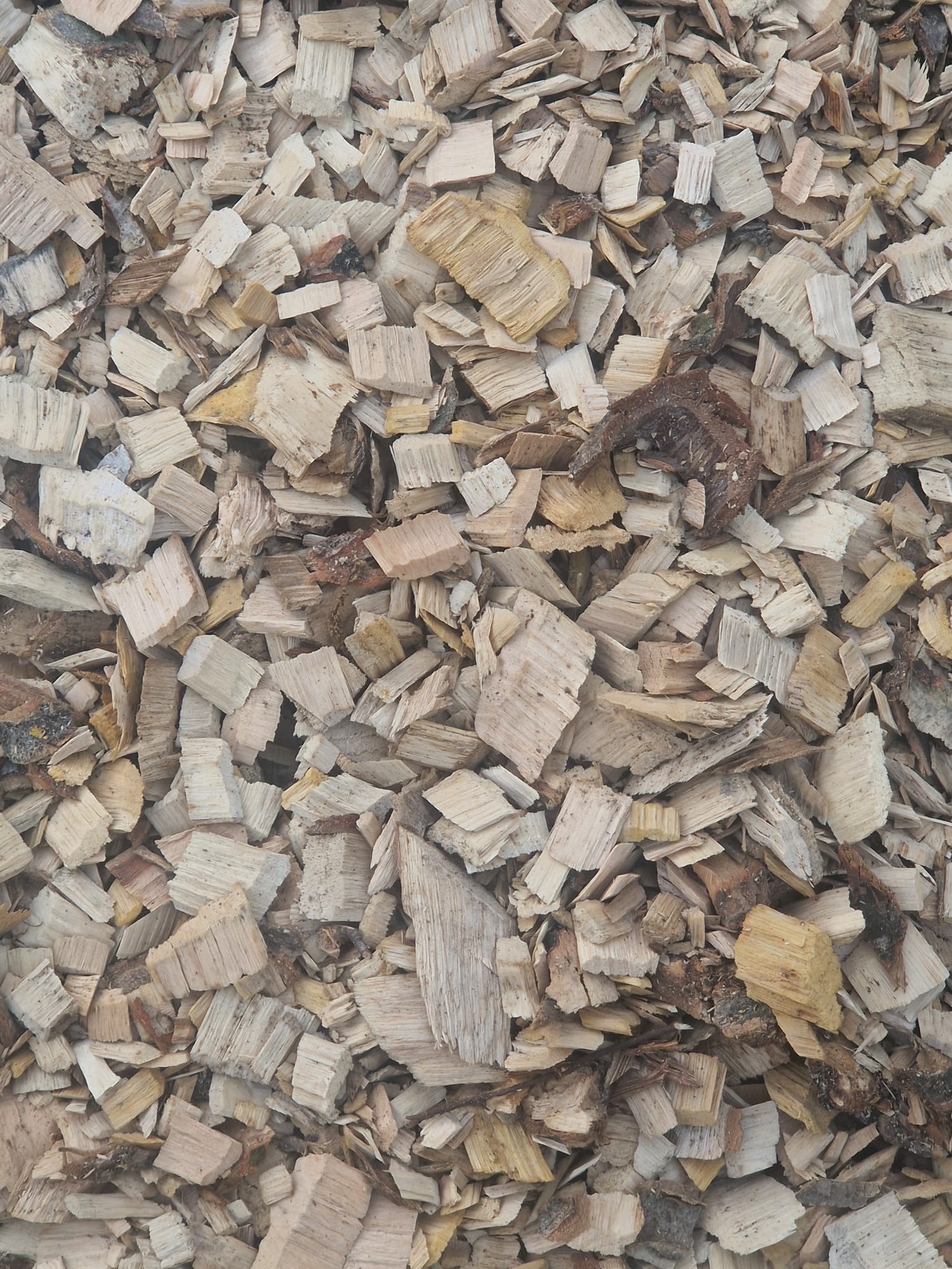 WOODSMAN AND THE WITCH HARDWOOD WOOD CHIP - Image 11