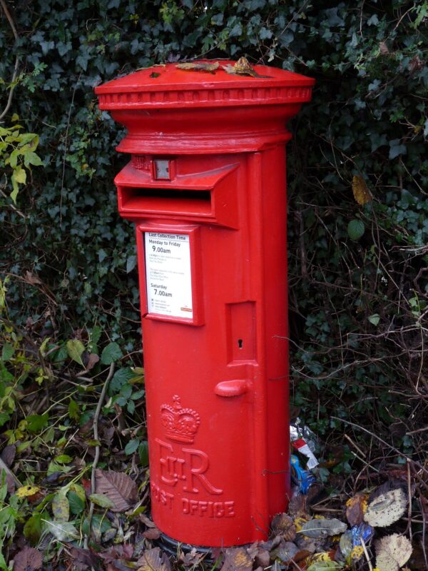 AAA POSTAGE FOR TWO 5LITRE OR ONE 10 LITRE SHRUB UNDER 90cm