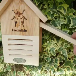 LADYBIRD HOUSE - £25.00