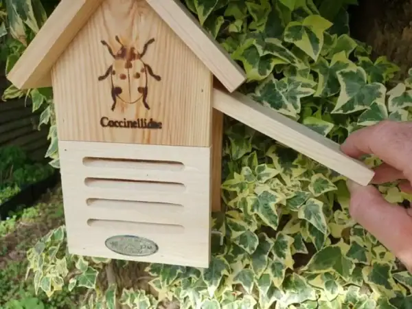 LADYBIRD HOUSE - £25.00