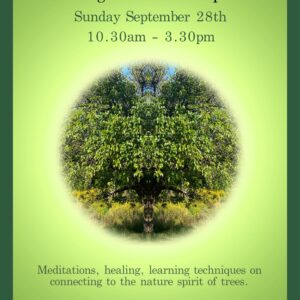 HOW TO TALK TO TREES - A guided meditation