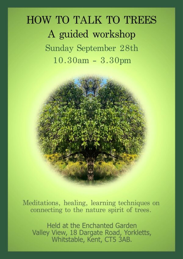 HOW TO TALK TO TREES - A guided meditation