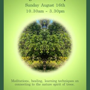 HOW TO TALK TO TREES - A guided meditation