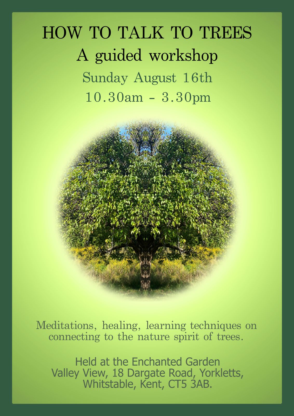 HOW TO TALK TO TREES - A guided meditation