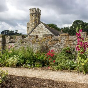 GARDEN CONSULTATION OF A LARGE GARDEN - 1000 square metres (1/4 acre)