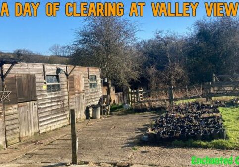 A Day of Clearing at Valley View