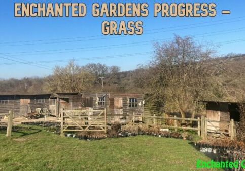 Enchanted Gardens Progress &#8211; Grass